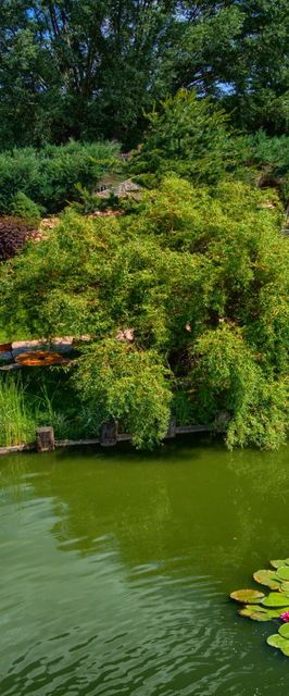 Agroturystyka Mirabelkowe Zacisze