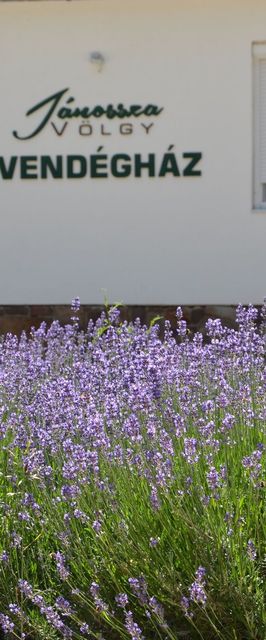 Jánossza-völgy Vendégház Ózd