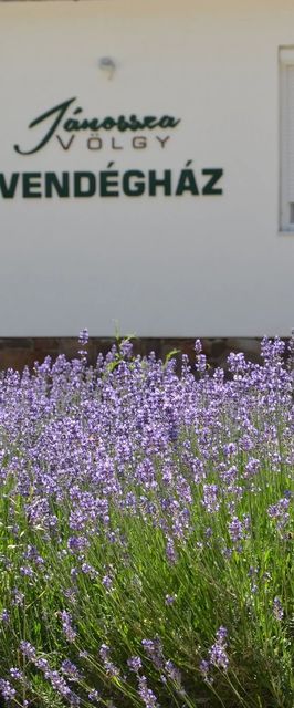 Jánossza-völgy Vendégház Ózd