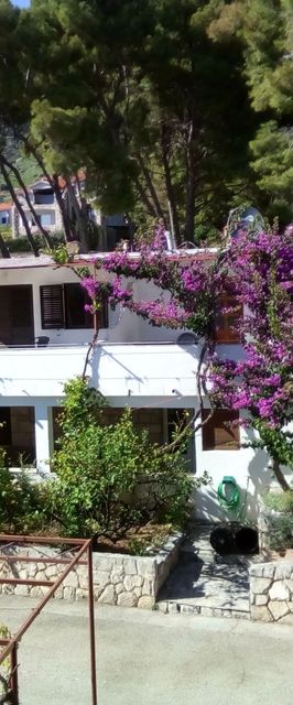 Apartmanok A Tenger Mellett Ivan Dolac, Hvar - 18269 Ivan Dolac