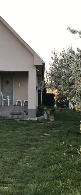 ZSUTI Apartman Tarpa