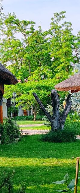 Szőlőszem Farm Tiszaszőlős