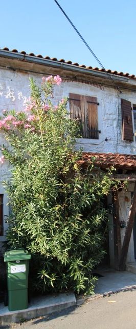 House Sammon  Funtana