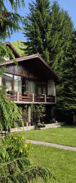 Căsuța Floare de Colț Clopotiva