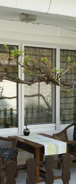 Lótusz Vendégház Balatonszárszó