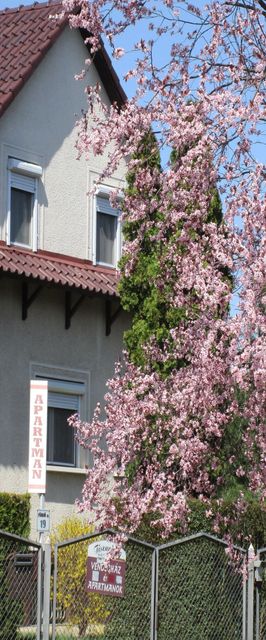 Tiszavirág Apartman Tiszafüred