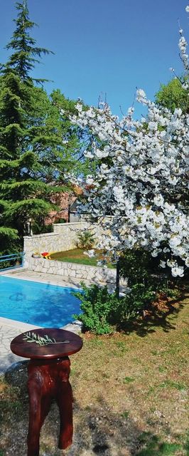 Vendégház Trget - CIK307