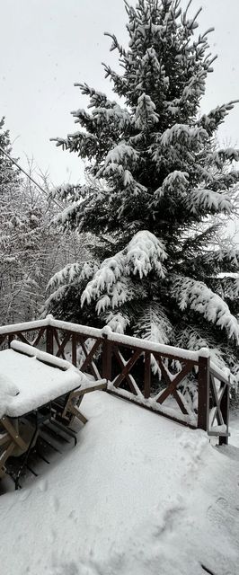 Fagyöngy Pajtaház Őriszentpéter