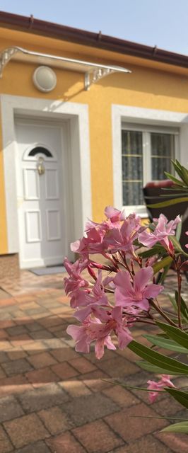 Bazsarózsa Vendégház Csopak