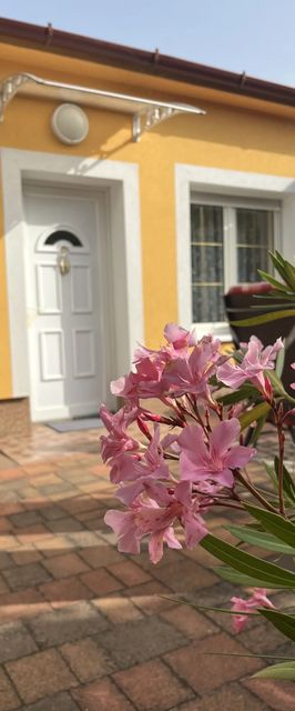 Bazsarózsa Vendégház Csopak