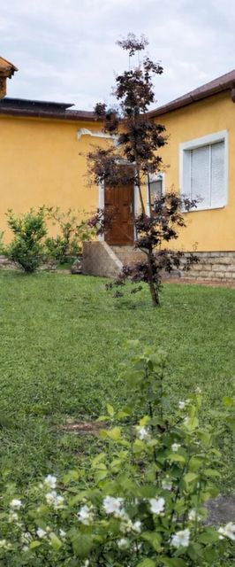 Bazsarózsa Apartman Csopak