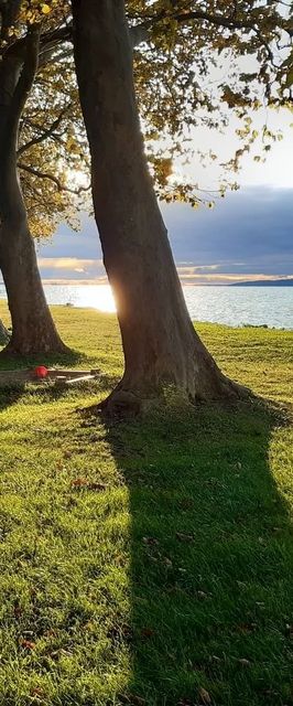 BB-Ház Balatonboglár