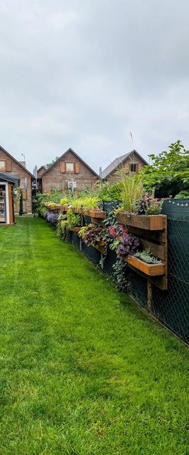 Domki  Trebor Międzyzdroje