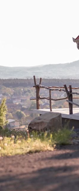 Marika Vendégház Tapolca-Diszel