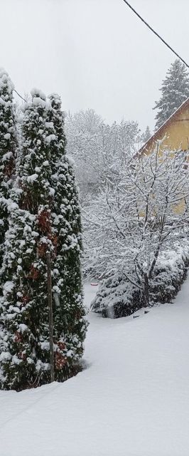 Elsővölgyi Vendégház Nagymaros