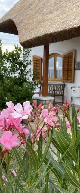 Emese Apartman Cserszegtomaj