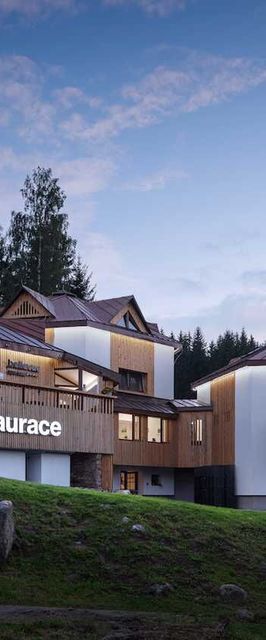 Ski & Spa hotel BELLEVUE Harrachov