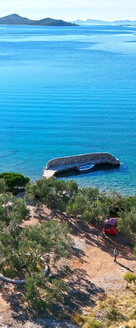 House Bellatrix Tkon