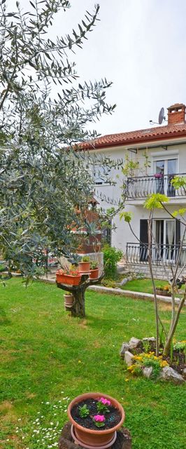 Apartment Loredana Porec
