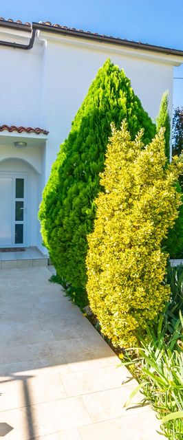 Apartment Vesna Pinezici