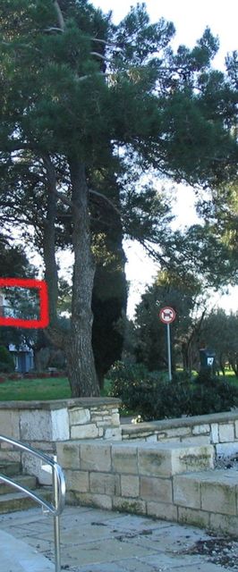 Apartment Oliva Fazana