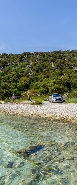 House Small Robinson Sevid