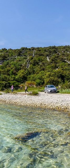 House Small Robinson Sevid