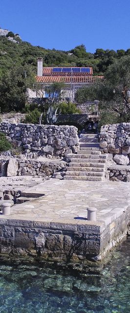 House Lemon Tree Tkon