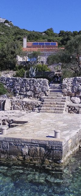 House Lemon Tree Tkon