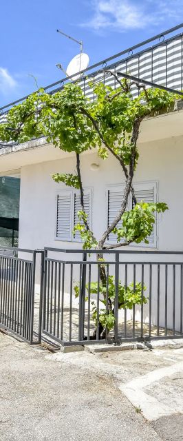 Apartments Matas Rogoznica