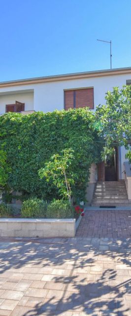 Apartments Immortelle Biograd