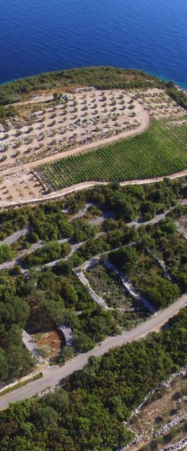 Apartments Koras Kneža