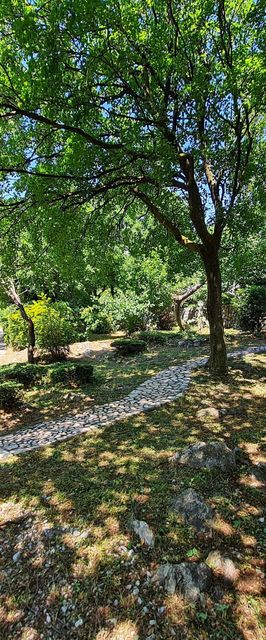 Apartment Morska oaza Klenovica