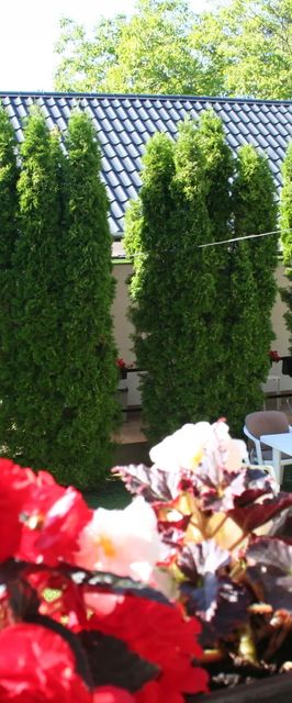 Papp Vendégház Siófok