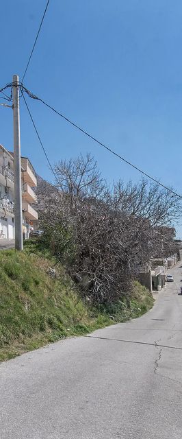 Apartment Sladana Omis