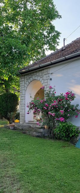 Zöld Dió Vendégház Bodrogkisfalud