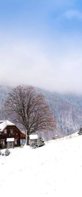 Lipowe Wzgórze Limanowa