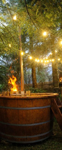 Cabana Brazilor Plaiu Câmpinei