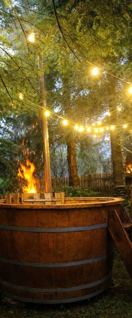 Cabana Brazilor Plaiu Câmpinei