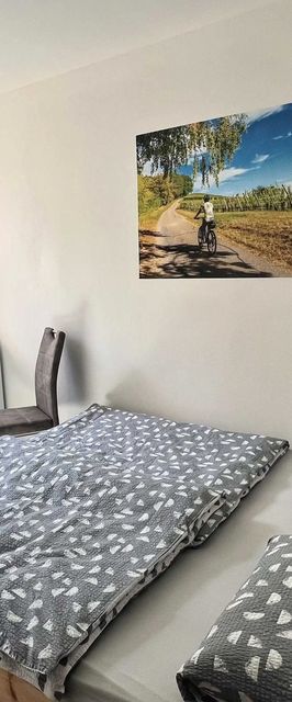 Cykloubytování u Rašků Dolní Dunajovice