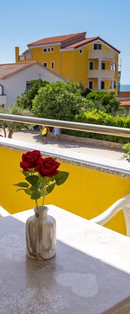 Apartman Povljana - CKP967