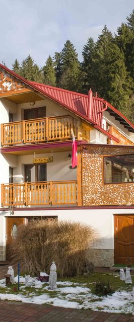 Willa Basinek Muszyna