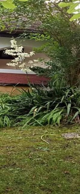 Gyöngy Vendégház Szalafő