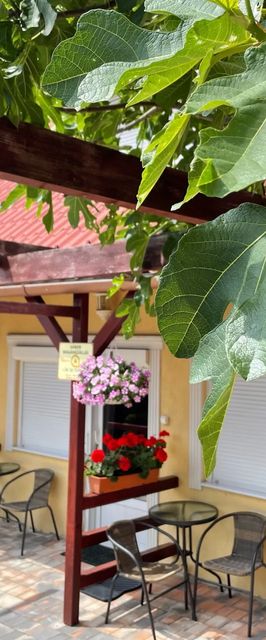 Gábor Magánszállás Nagykanizsa