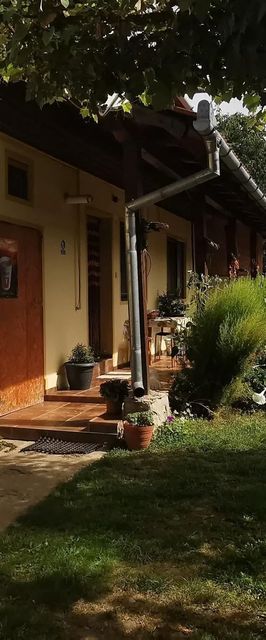 Casa Bunicii Cârțișoara