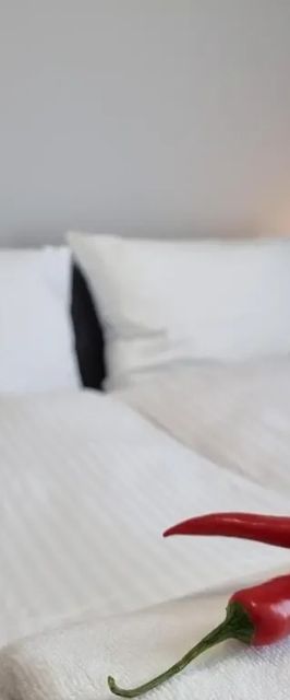 365PAM - Apartament Rodzinny - Gąski