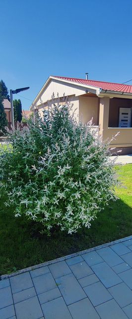 Sweet Summer Apartman Zsóry Mezőkövesd