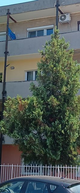 Dávid Apartman Siófok