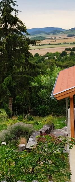 Öreghegy Vendégház Szentbékkálla