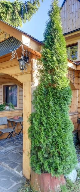 Orla Village Bukowina - Bukowina Tatrzańska